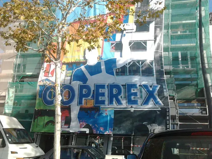 Peintre en bâtiment à Castres
